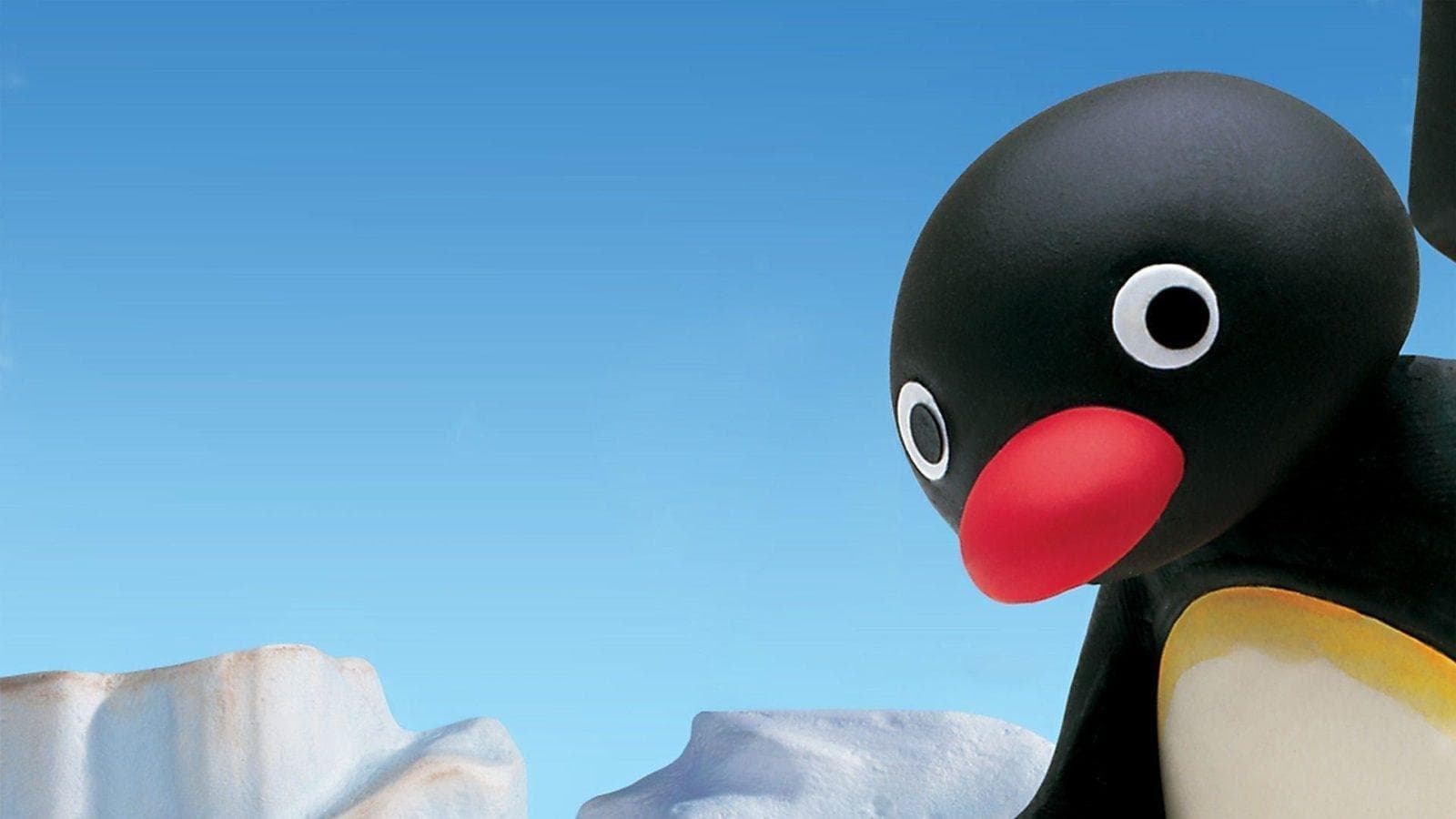 Pingu Vider