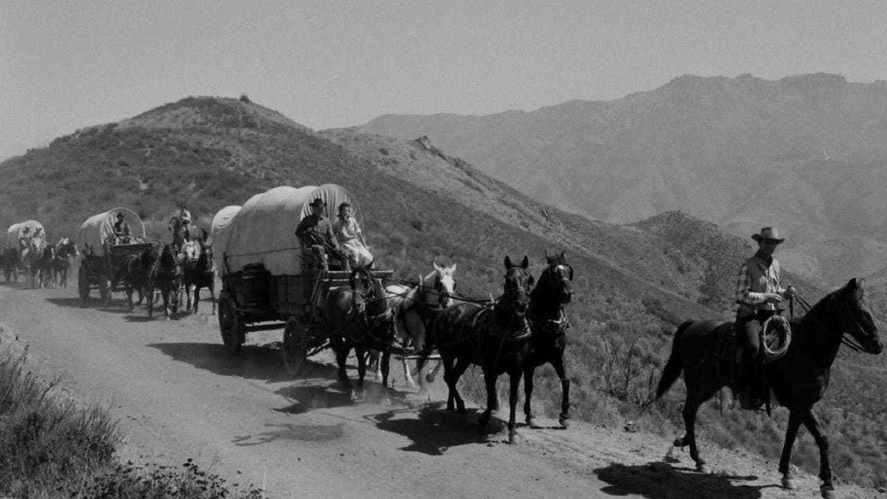 Wagon Train Vider