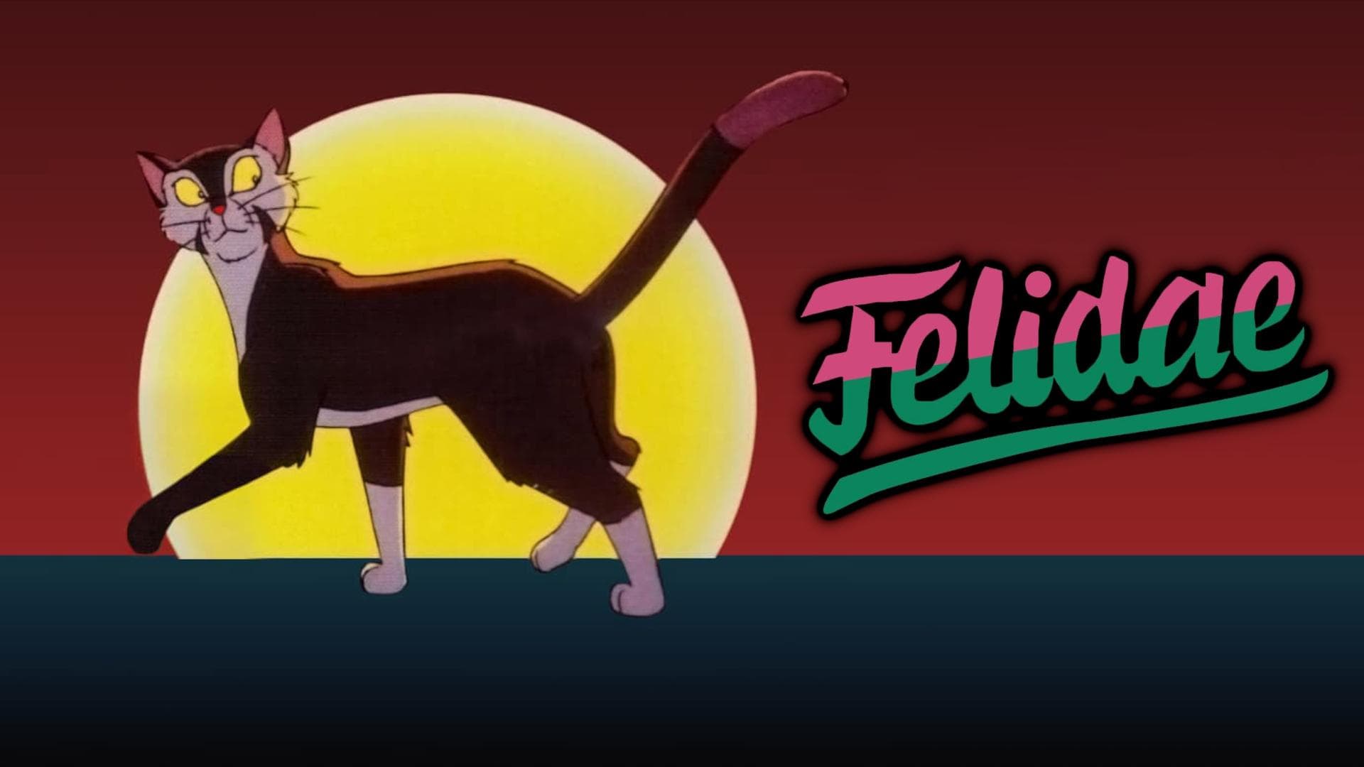 Felidae Vider