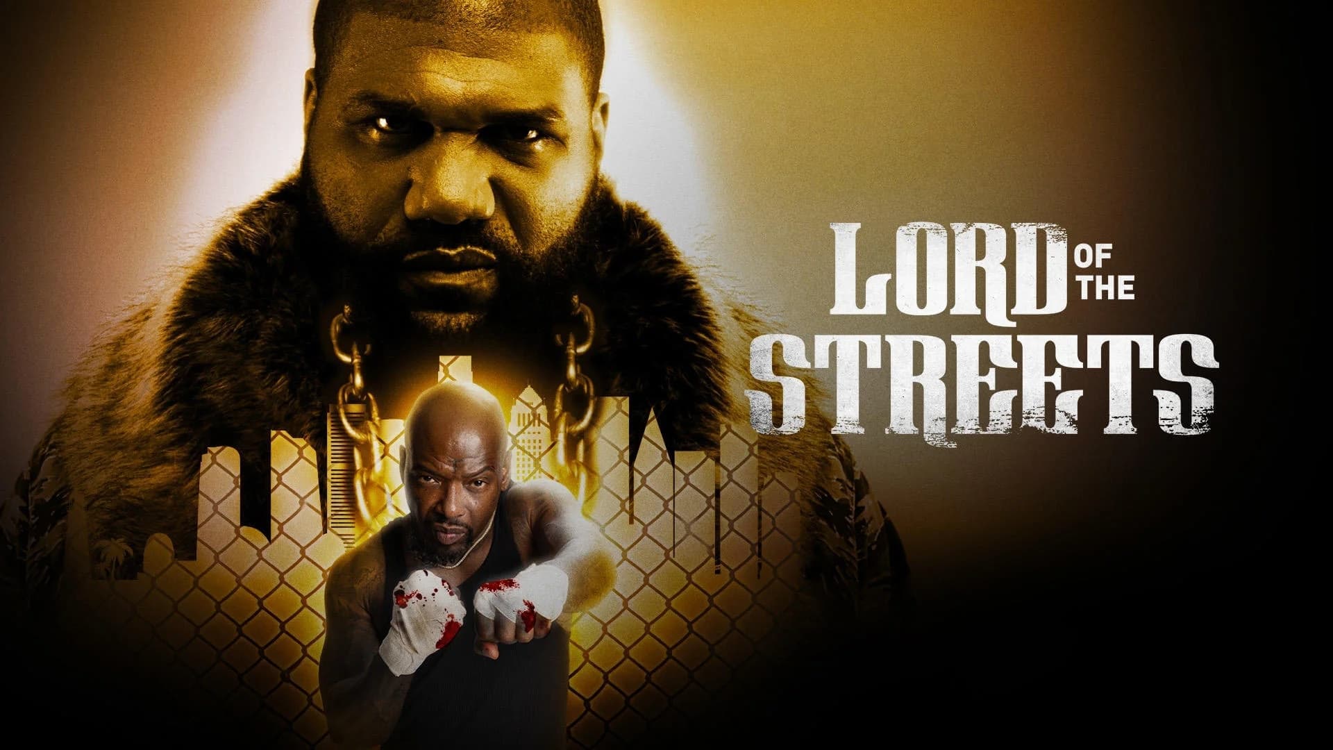 Lord of the Streets Vider