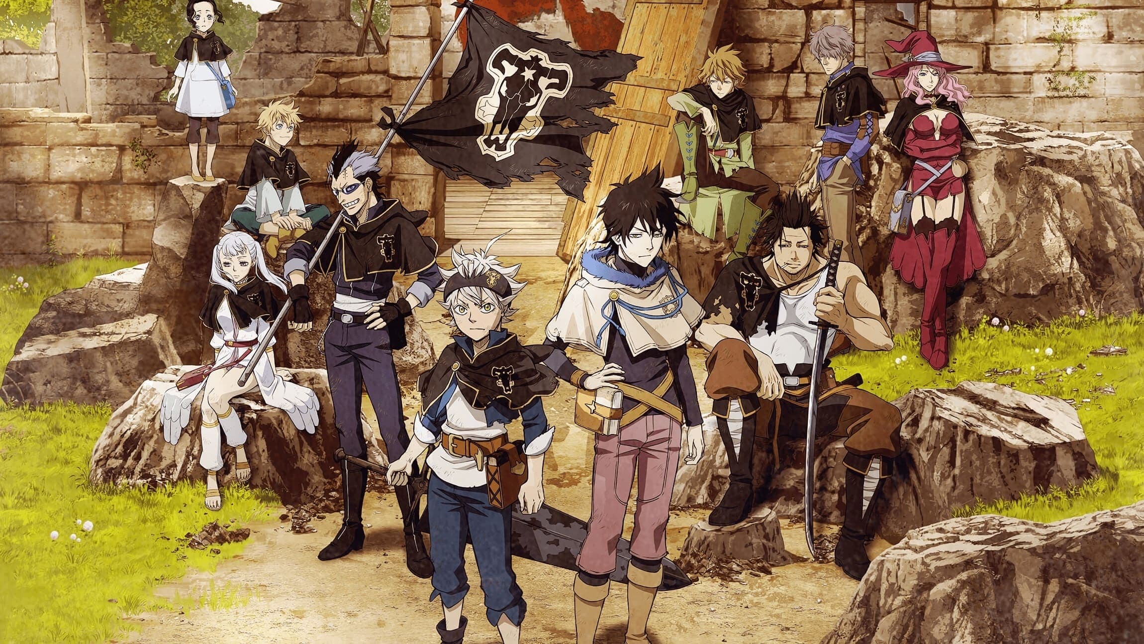 Black Clover Vider