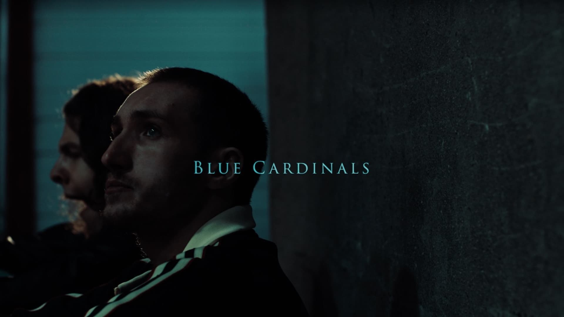 Blue Cardinals Vider