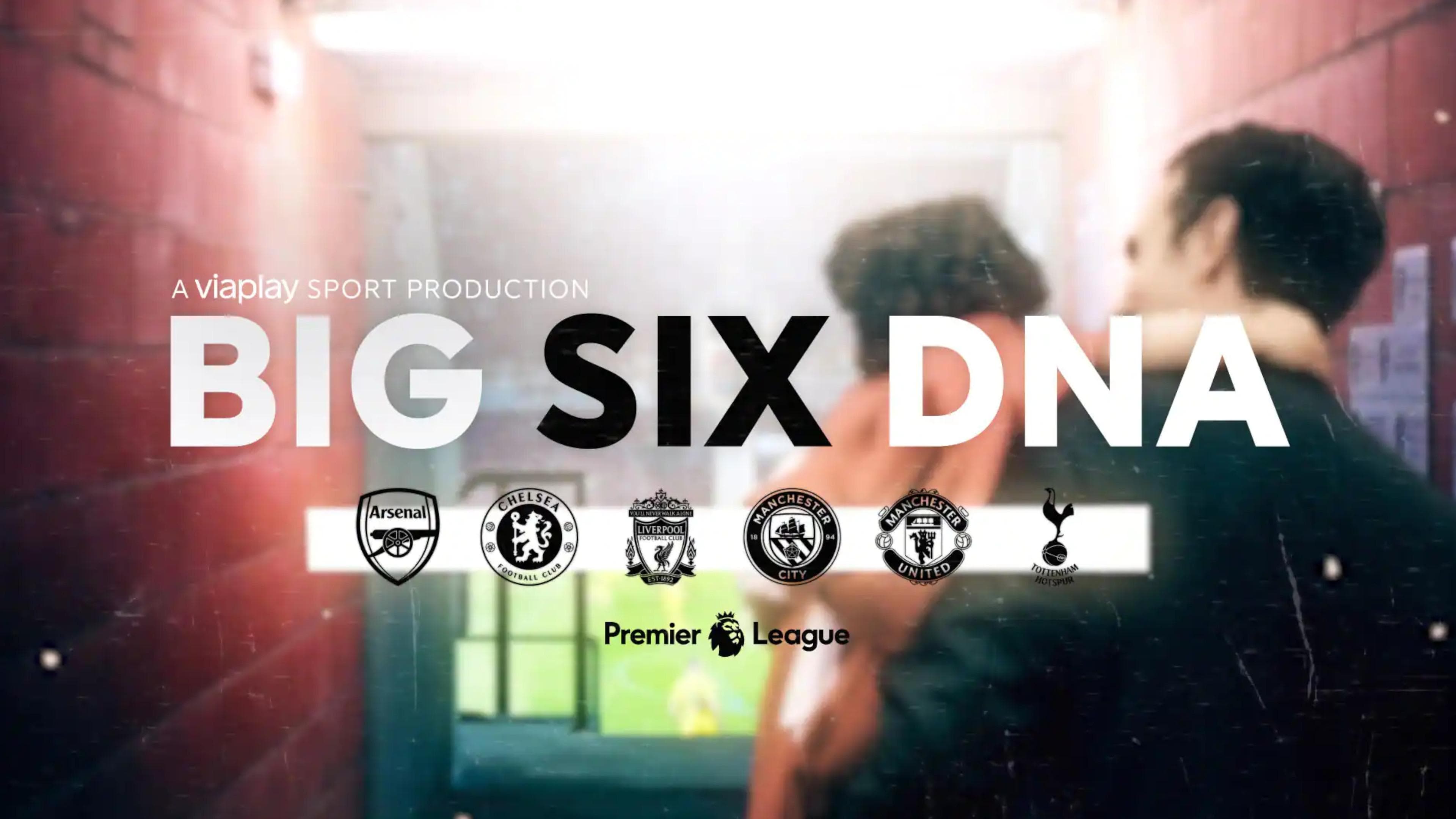 Big Six DNA Vider