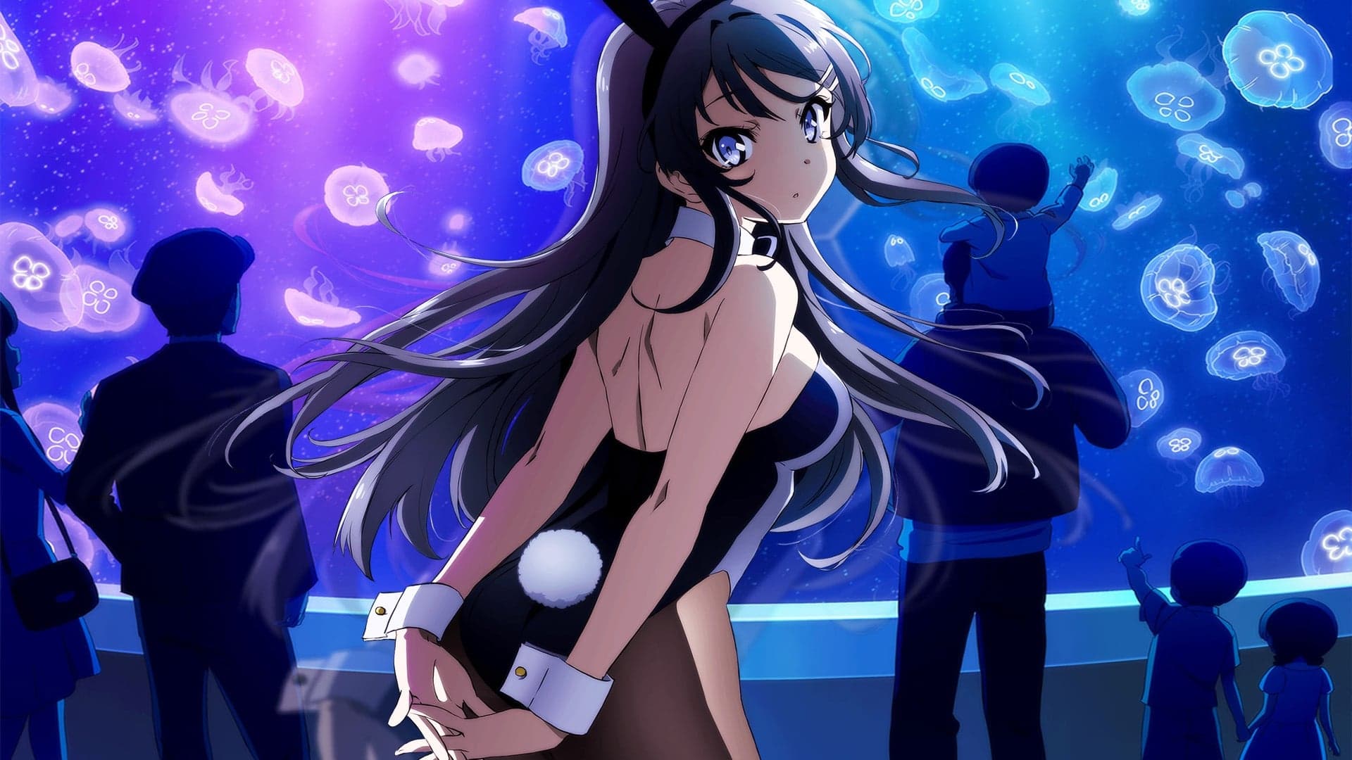 Rascal Does Not Dream of Bunny Girl Senpai Vider