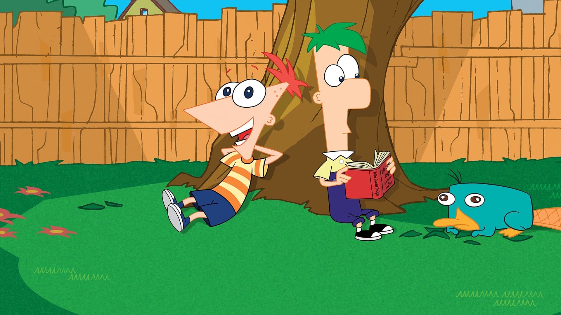 Fineasz i Ferb Vider