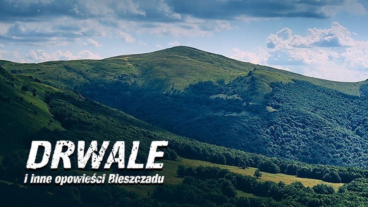 Drwale i inne opowieści Bieszczadu Vider