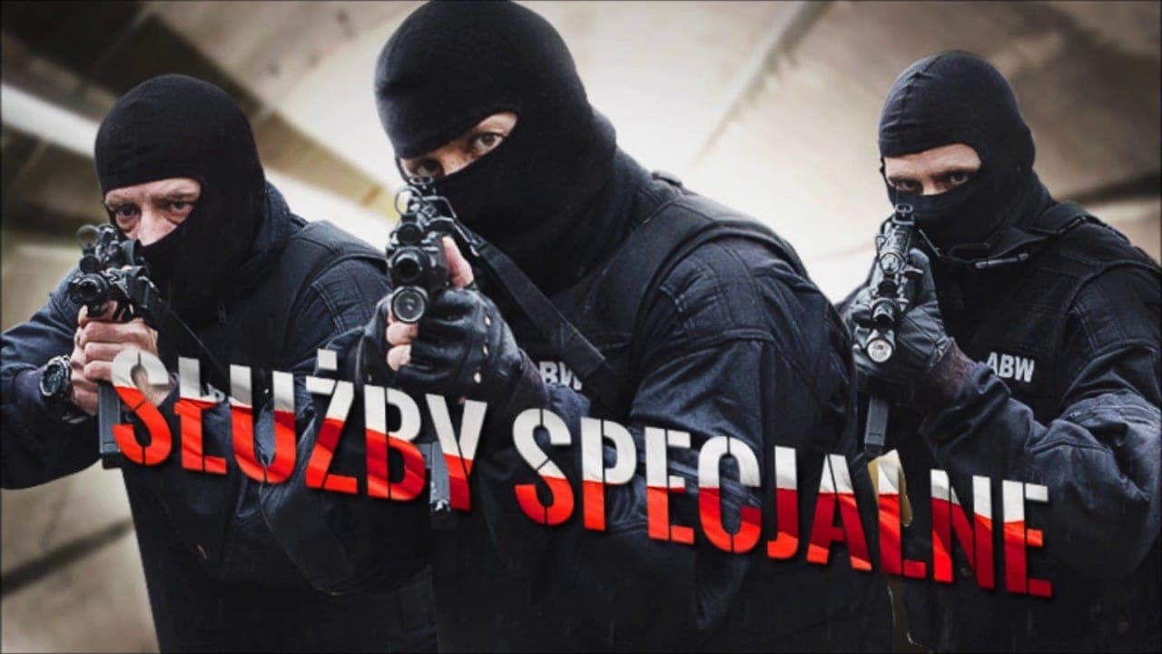 Służby specjalne Vider