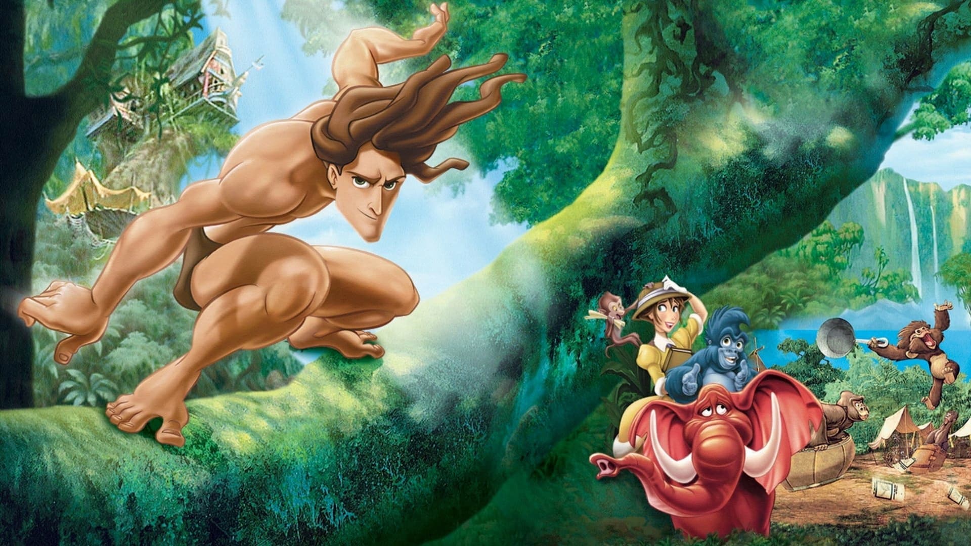 Tarzan Vider