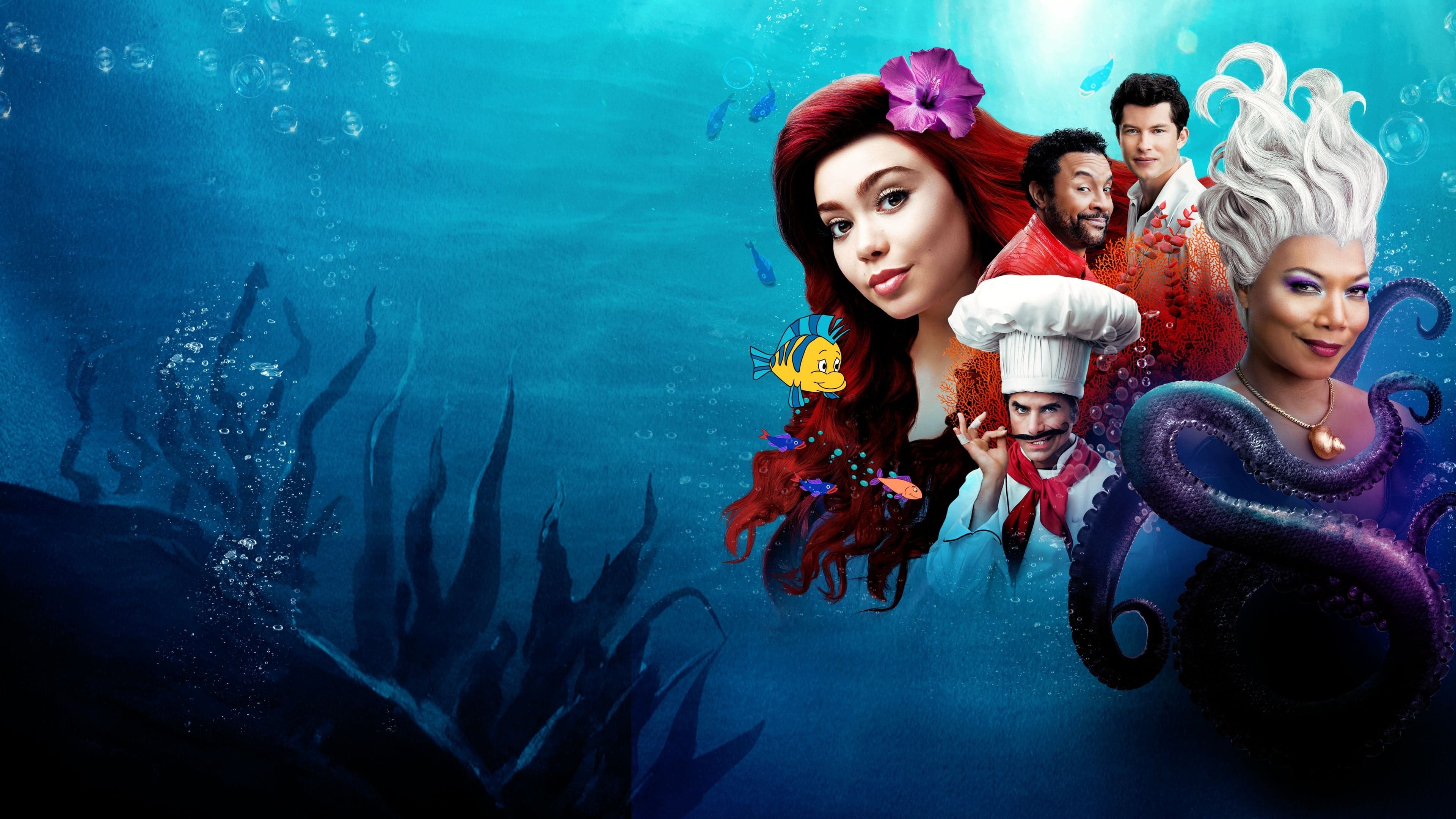 The Little Mermaid Live! Vider