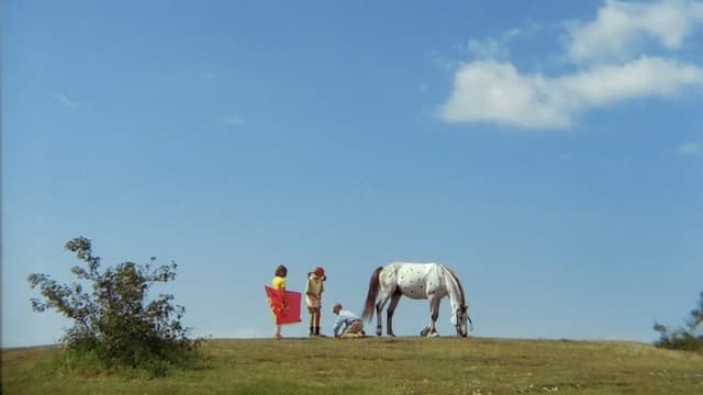 Pippi jedzie na wycieczkę