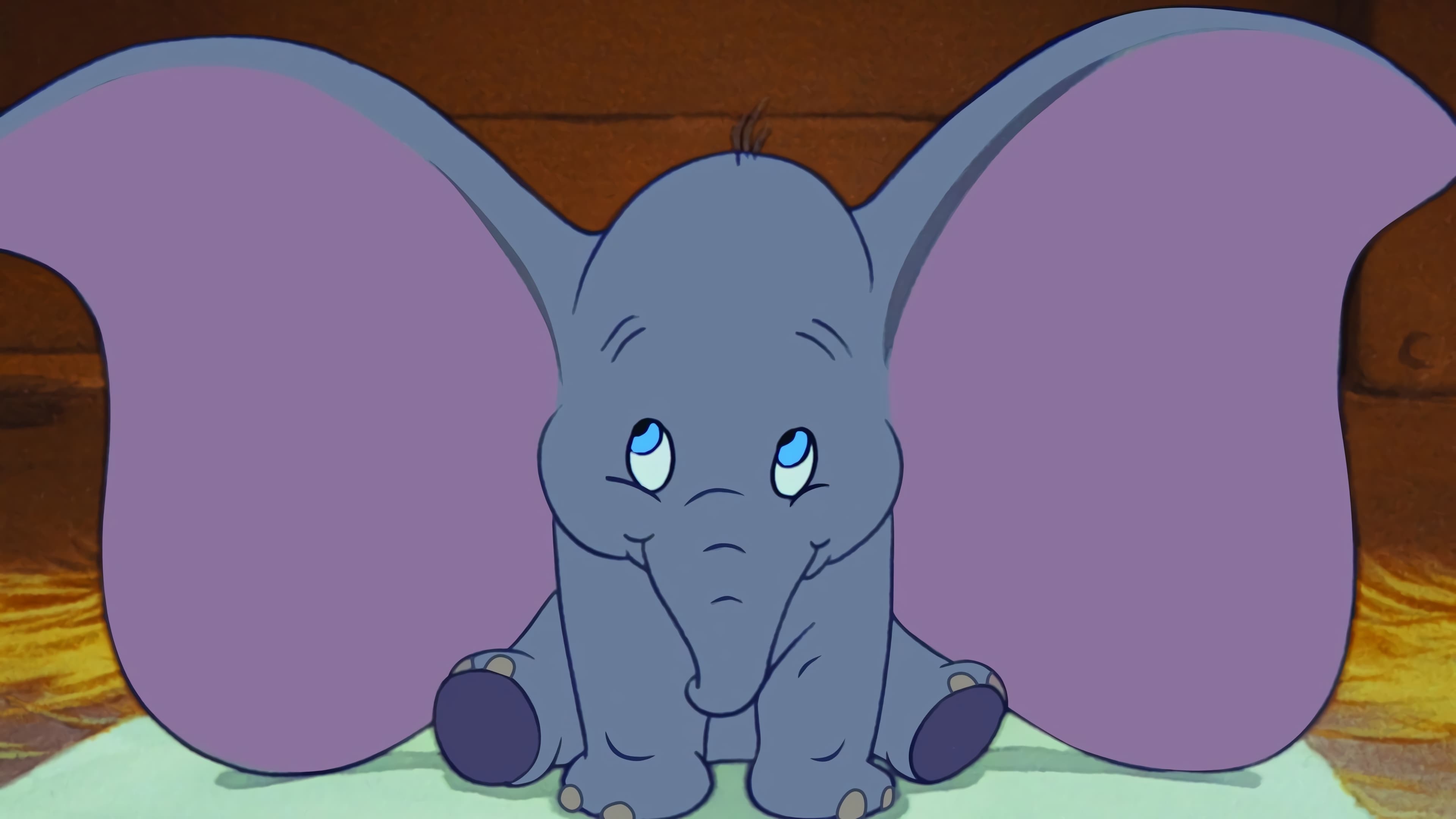 Dumbo Vider