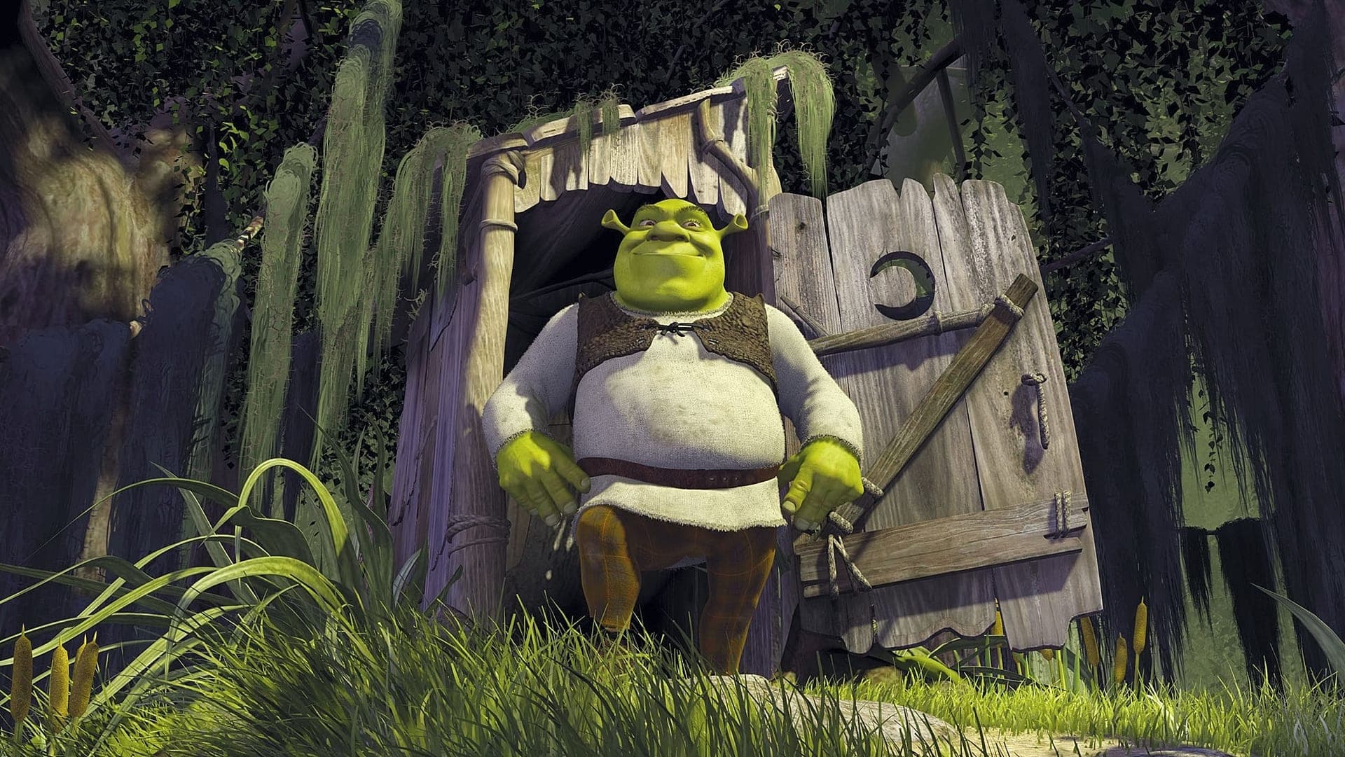 Shrek Vider