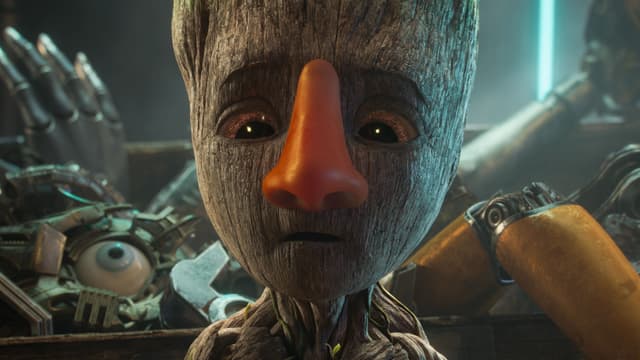 Groot węszy