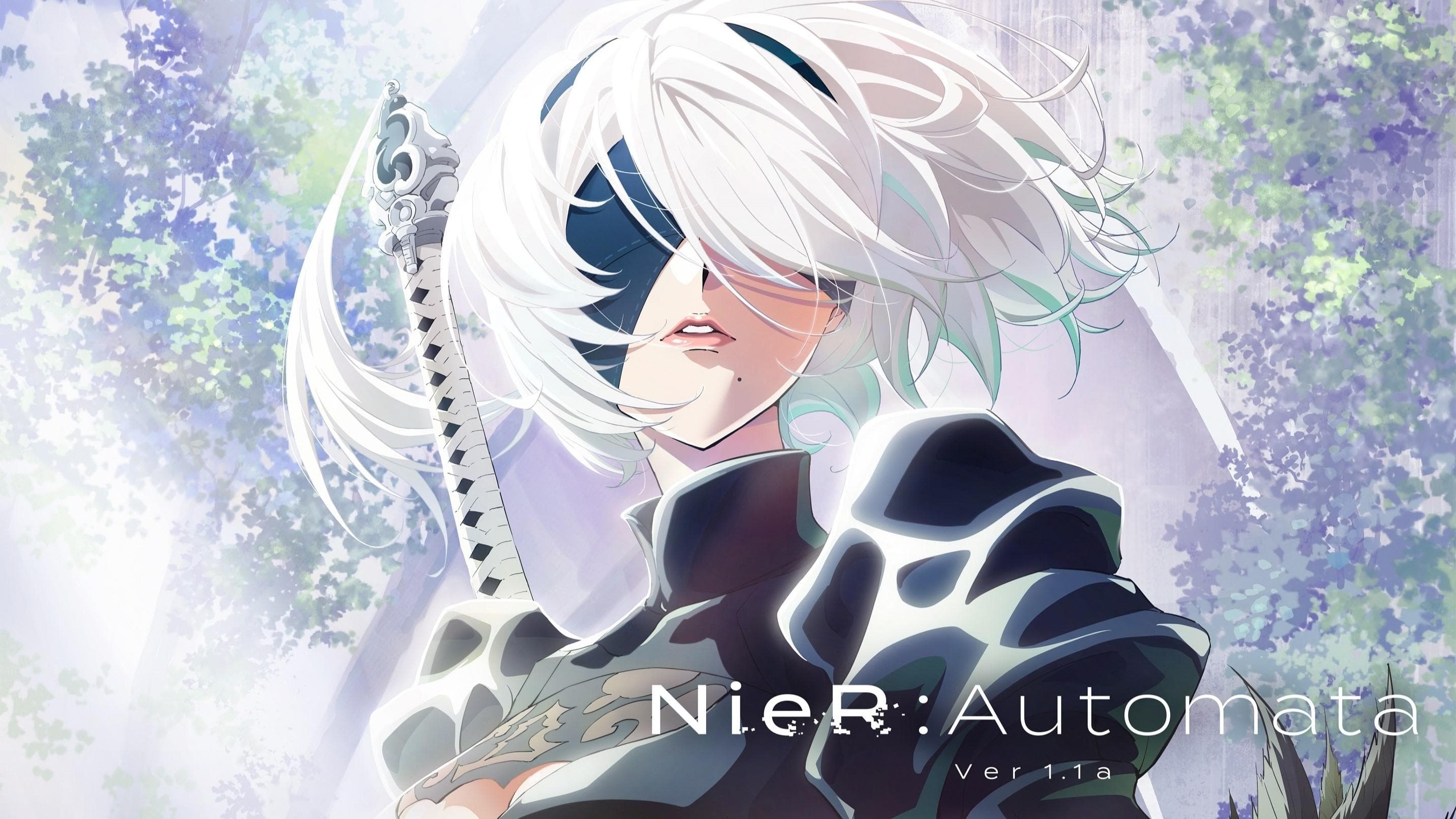 NieR:Automata Ver1.1a Vider