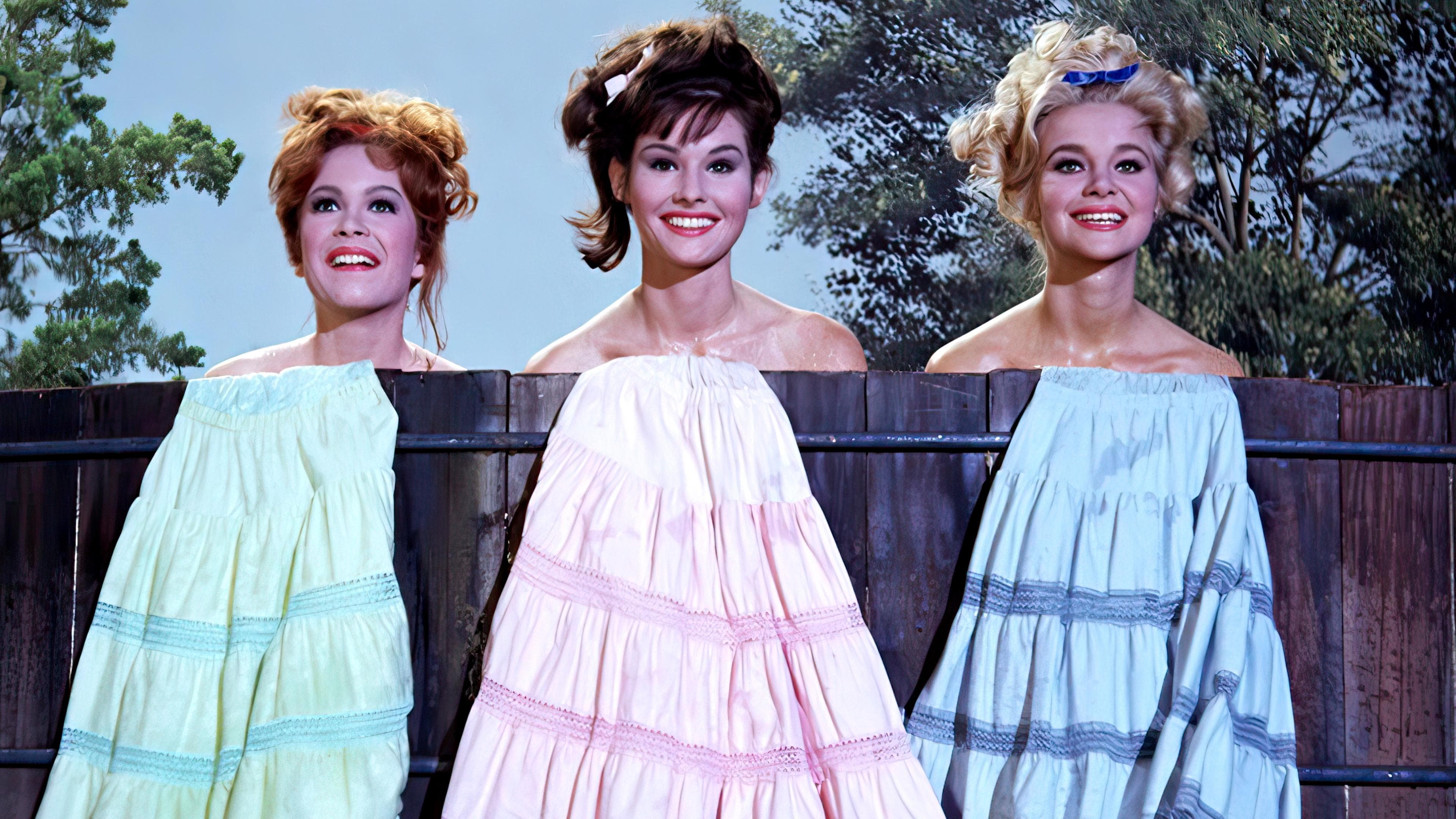 Petticoat Junction Vider