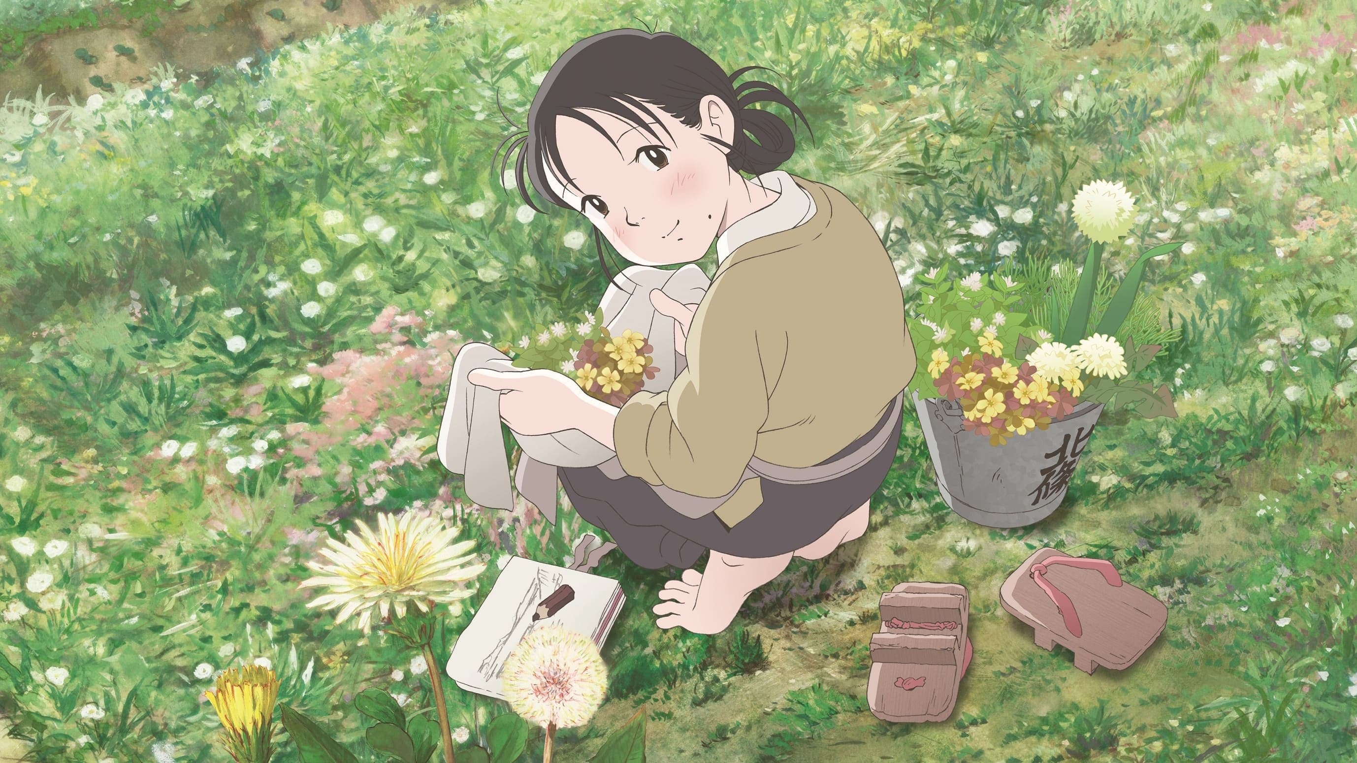 In This Corner of the World Vider