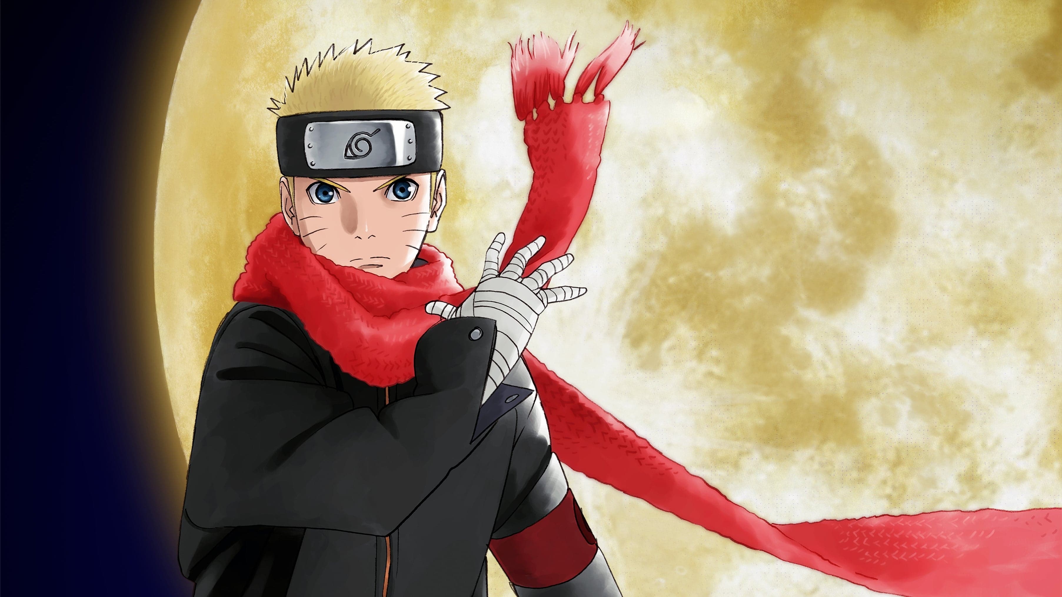 THE LAST -NARUTO THE MOVIE- Vider