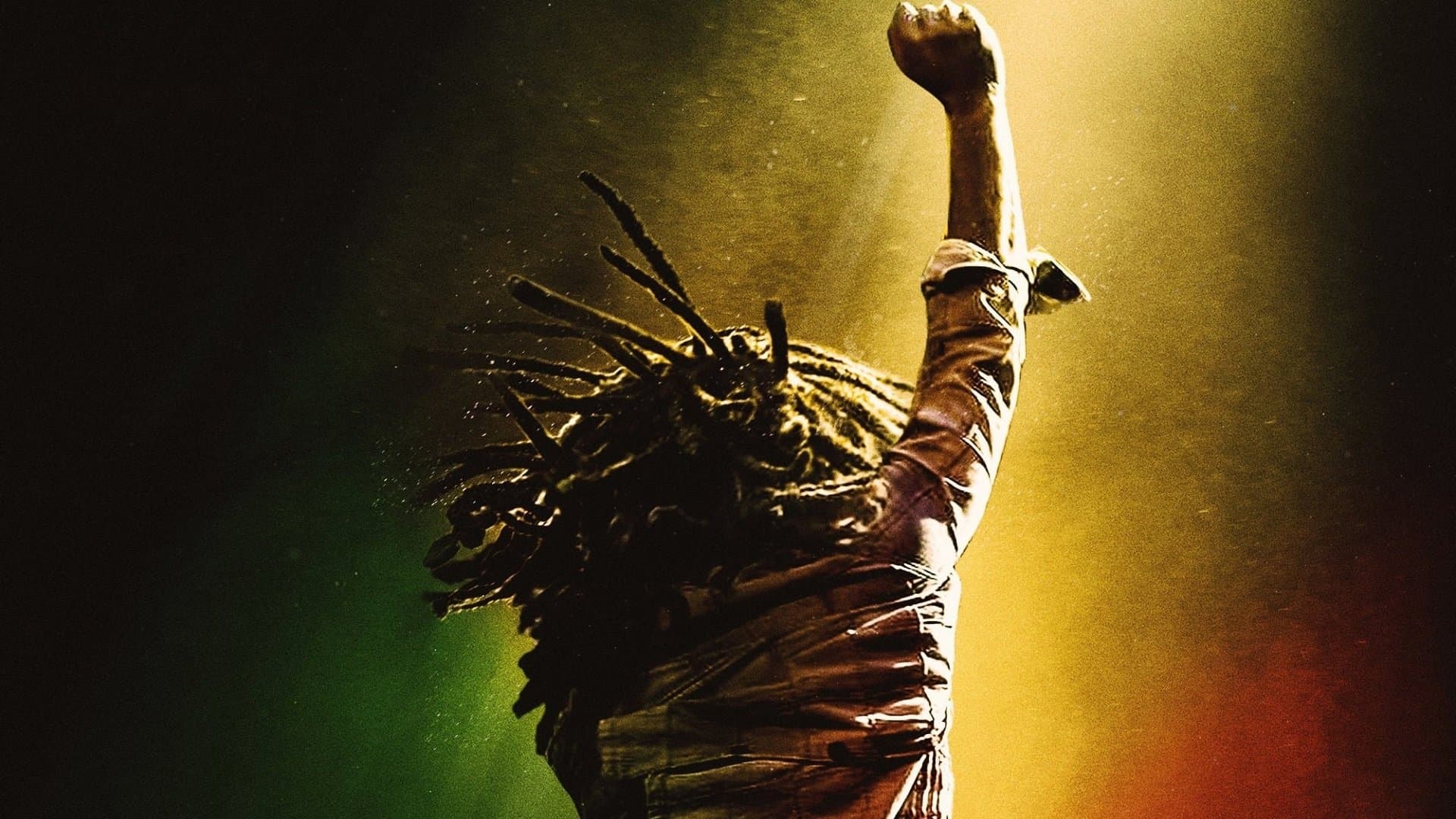 Bob Marley: One Love Vider