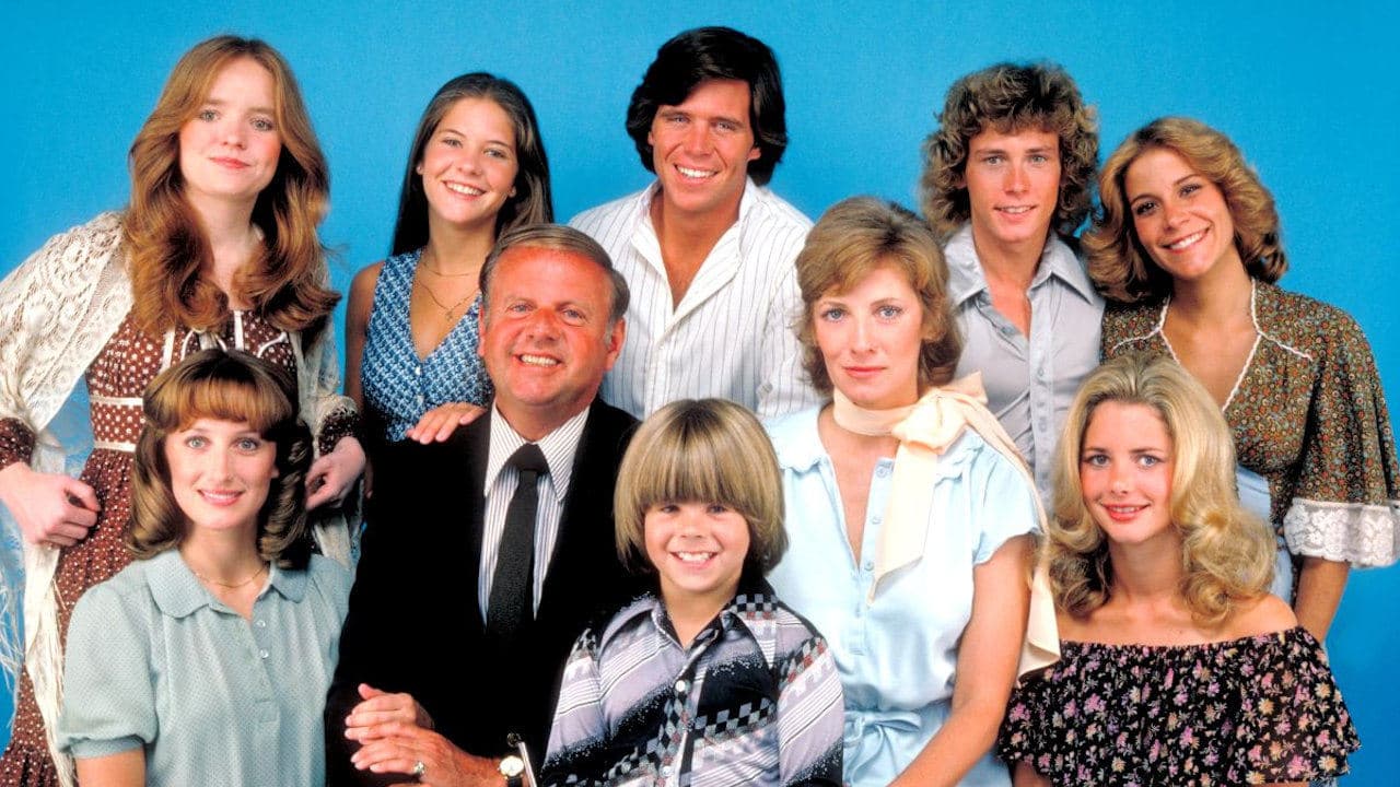 Eight Is Enough Vider