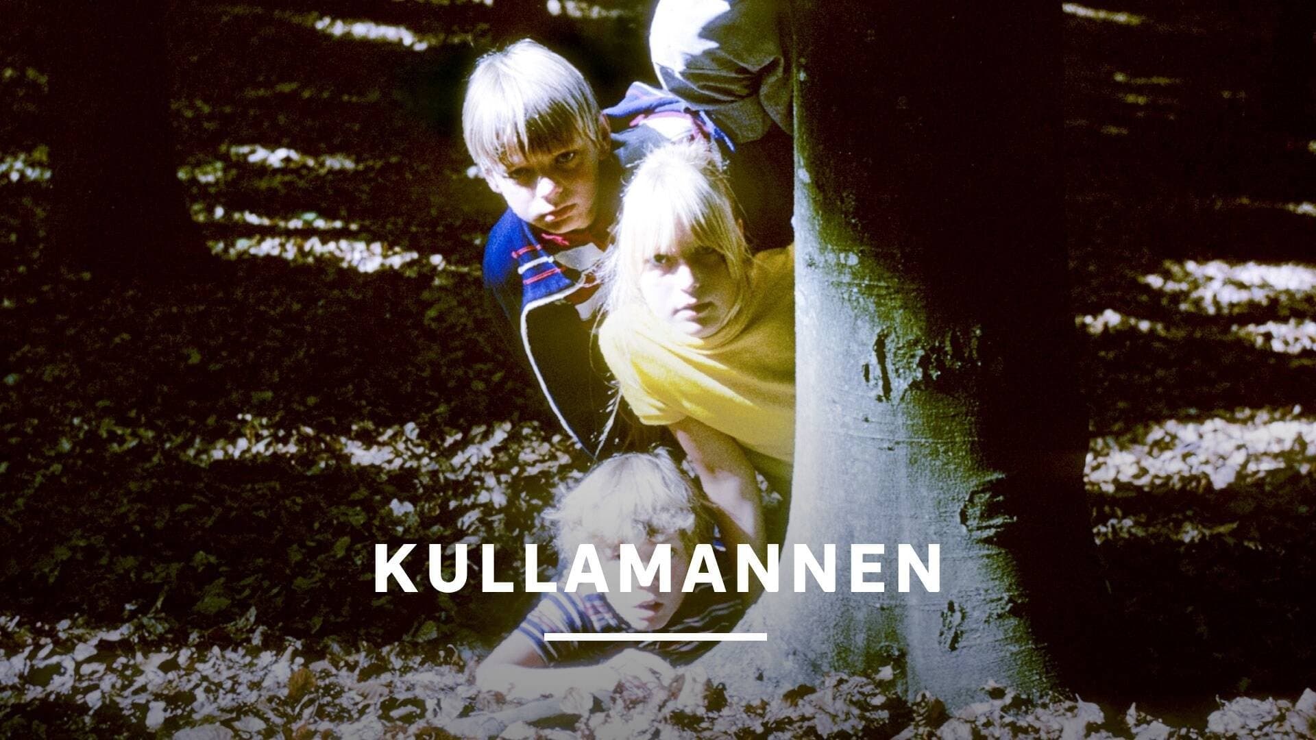 Kullamannen Vider