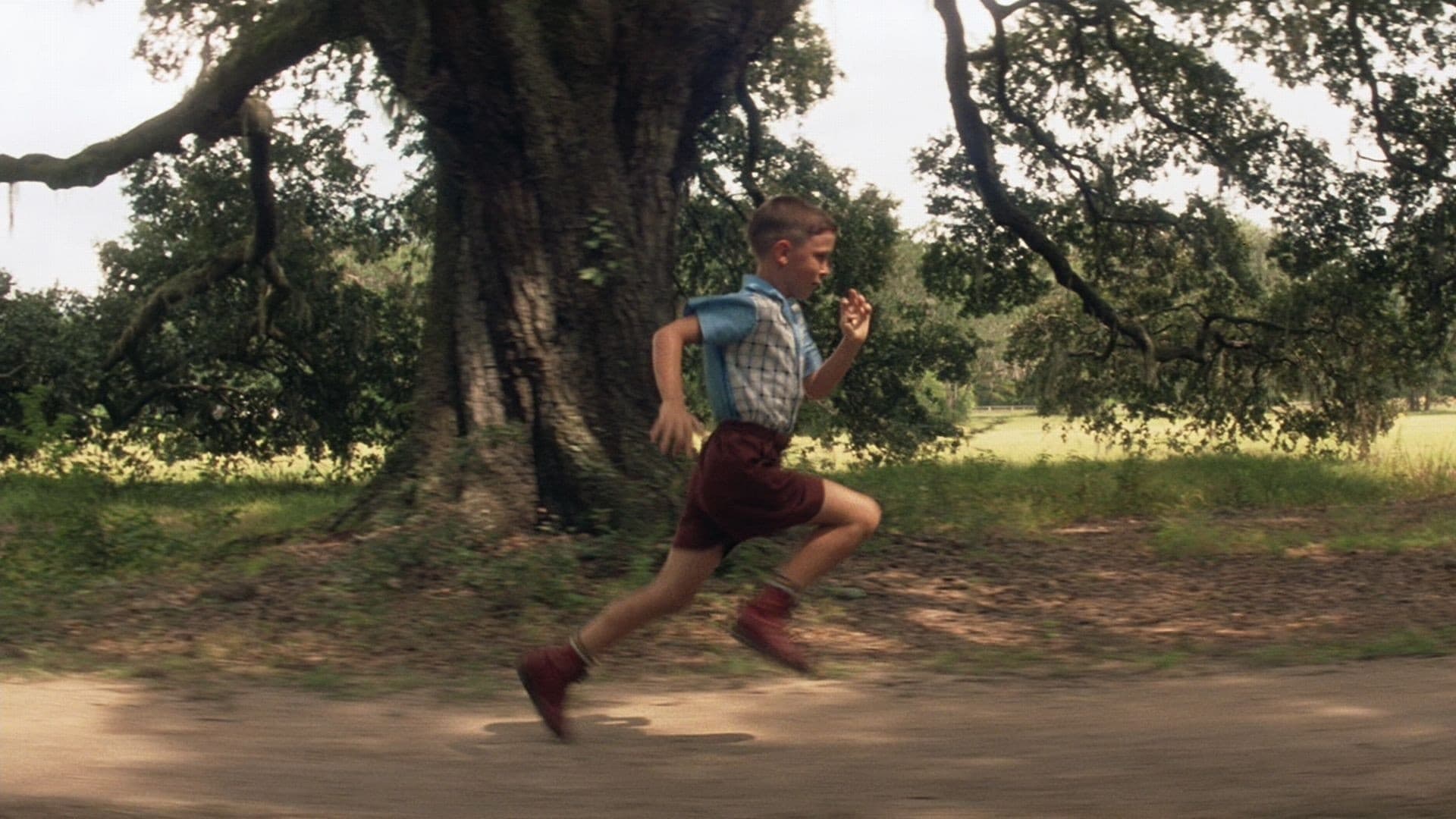 Forrest Gump Vider