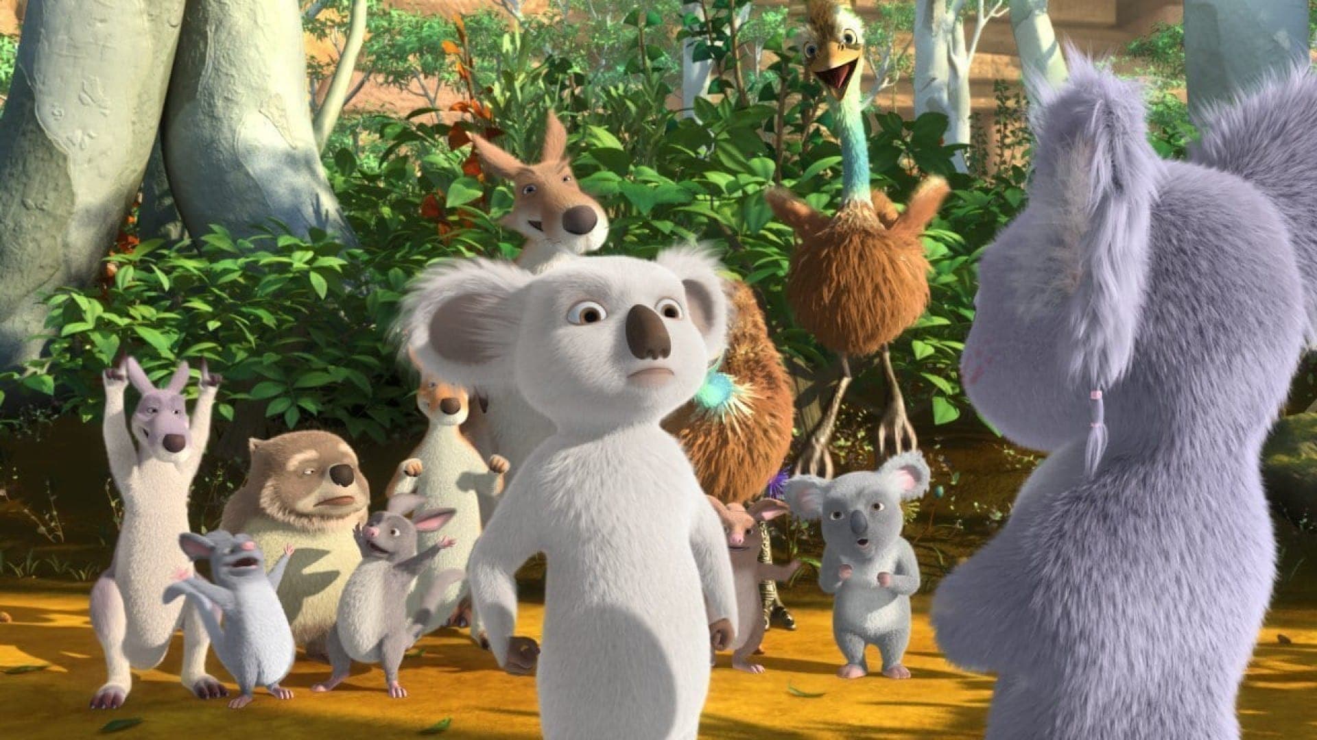 Koala Kid: Nieustraszony Miś Vider