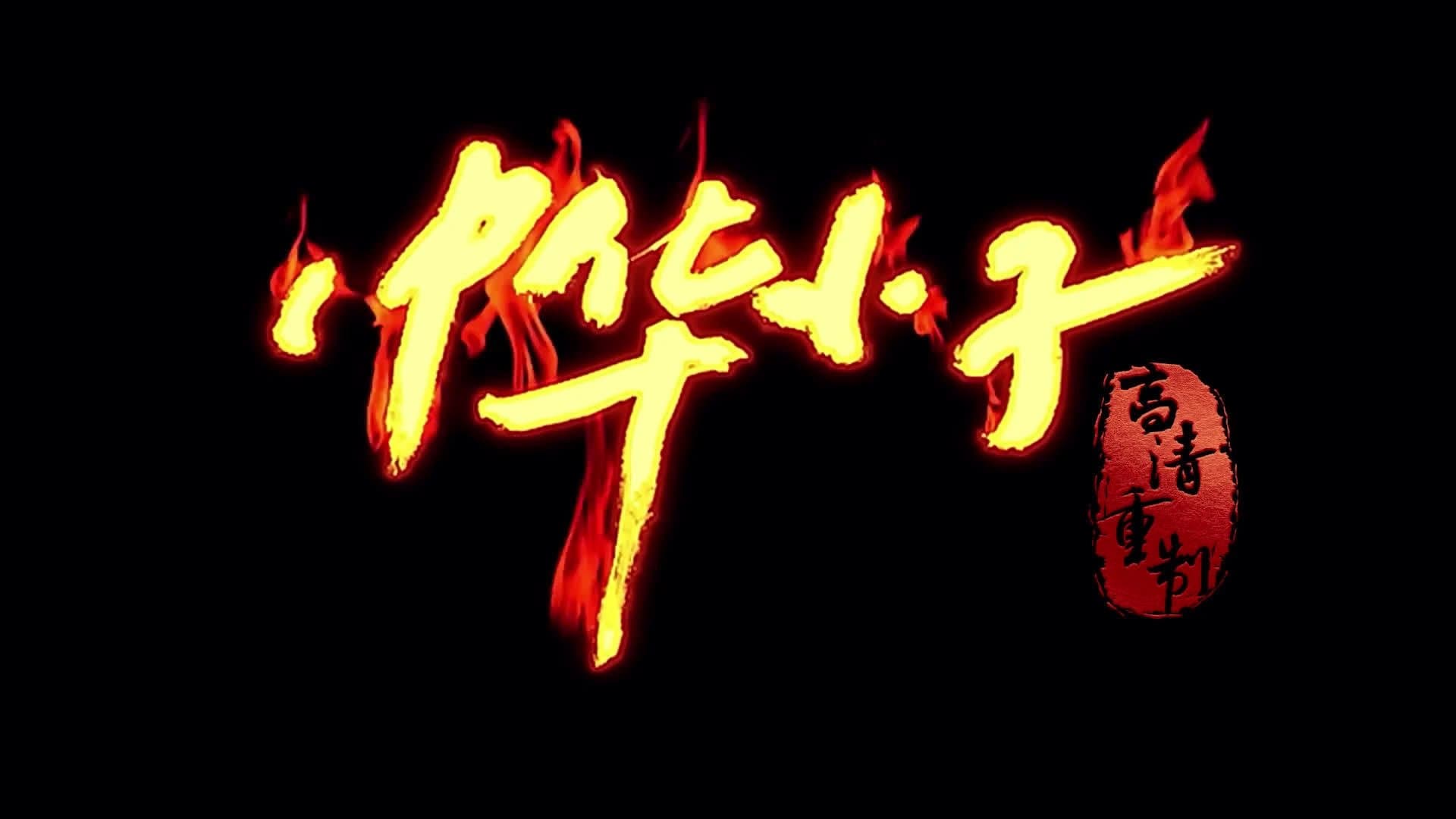 Shaolin Wuzang Vider