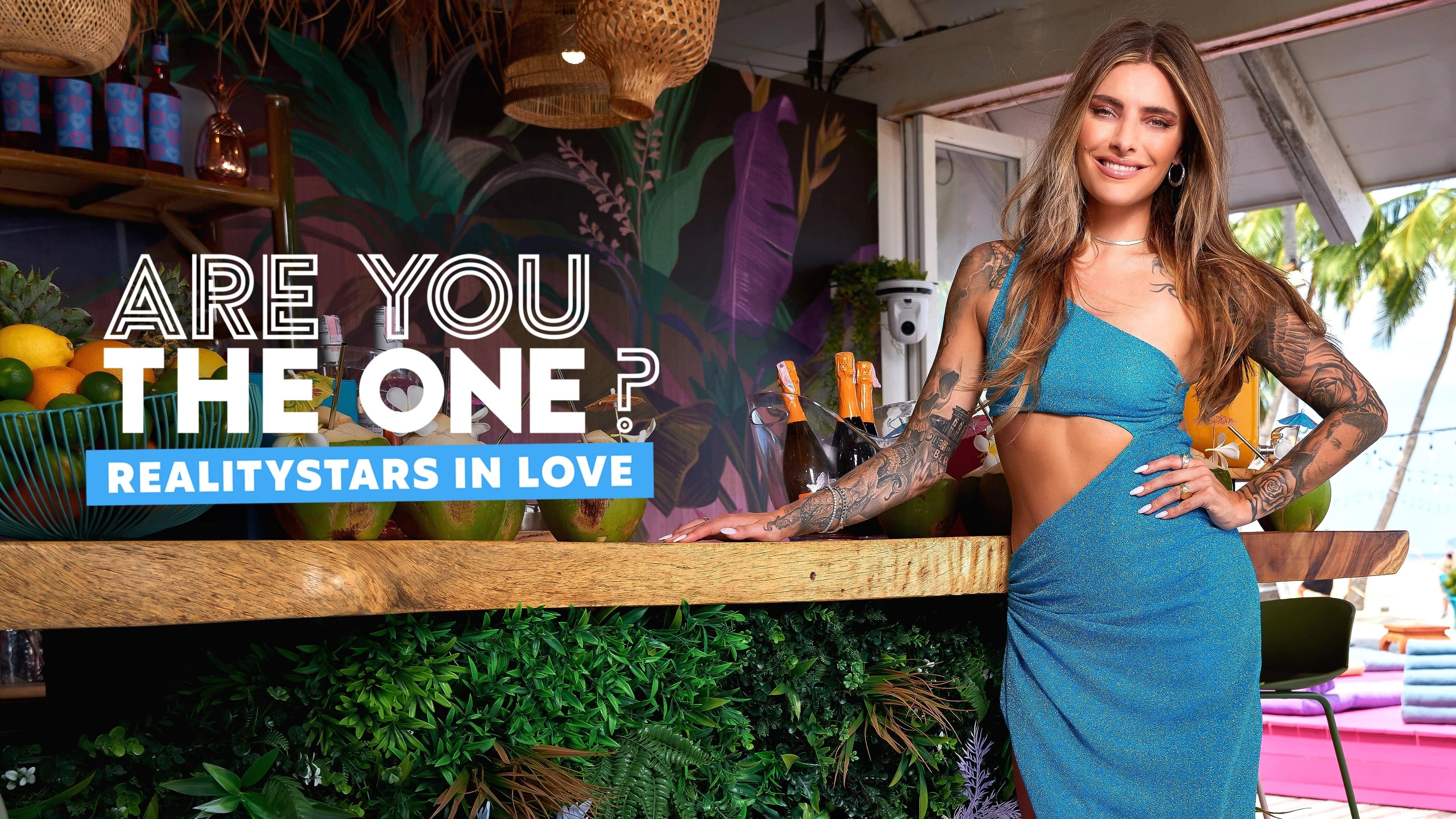 Are You The One – Reality Stars in Love Vider