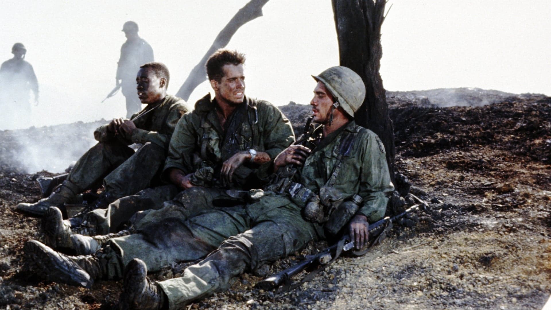 Hamburger Hill Vider