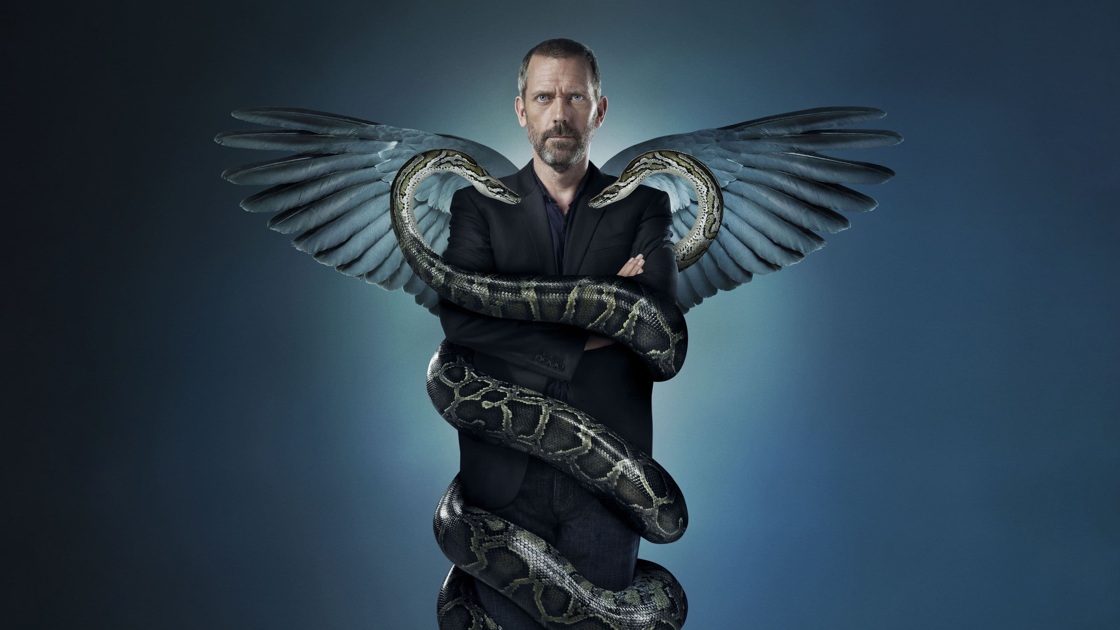 Dr House Vider