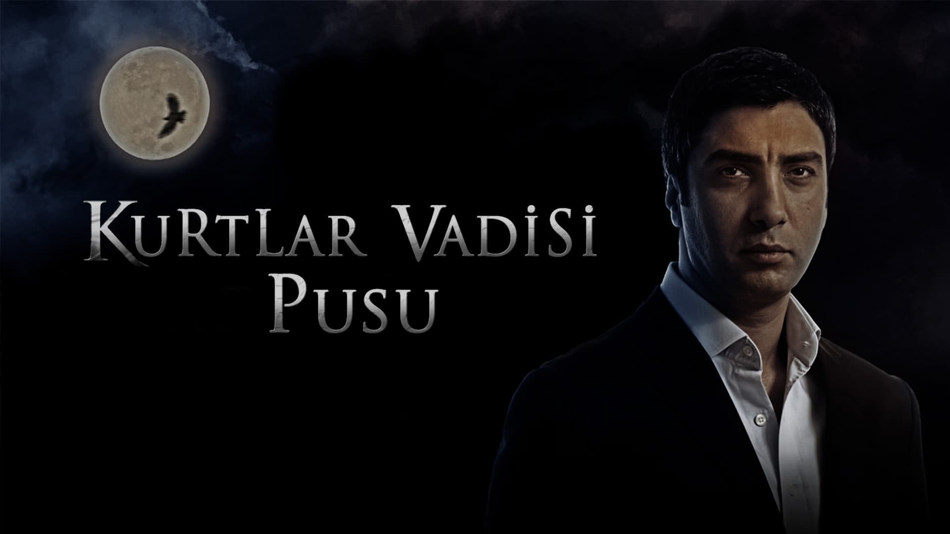 Kurtlar Vadisi: Pusu Vider