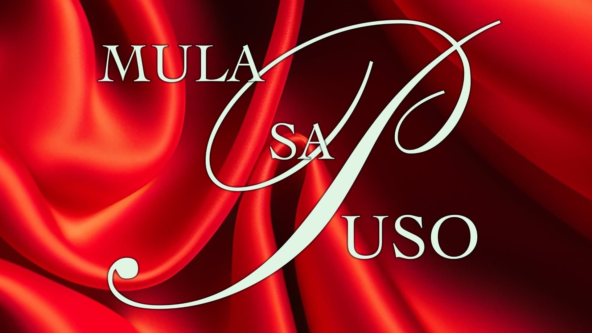 Mula Sa Puso Vider