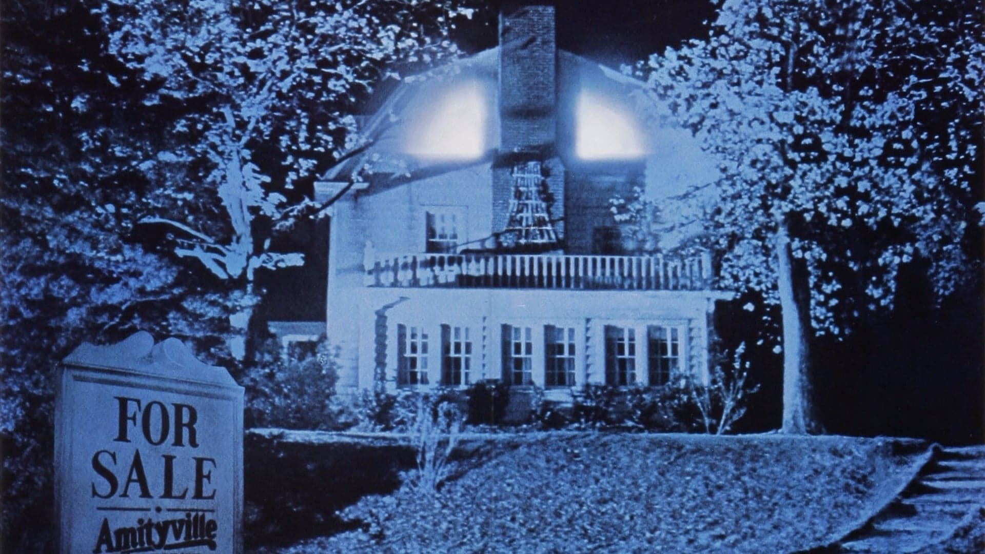 Amityville II: Opętanie Vider