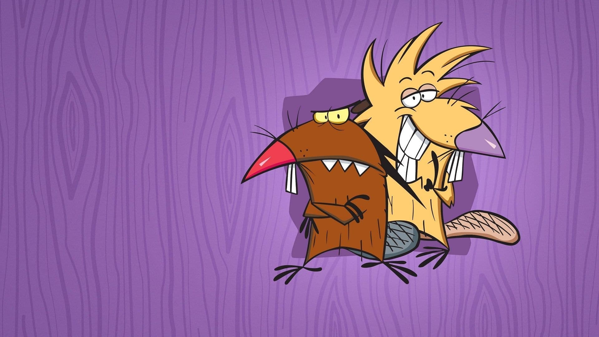 The Angry Beavers Vider