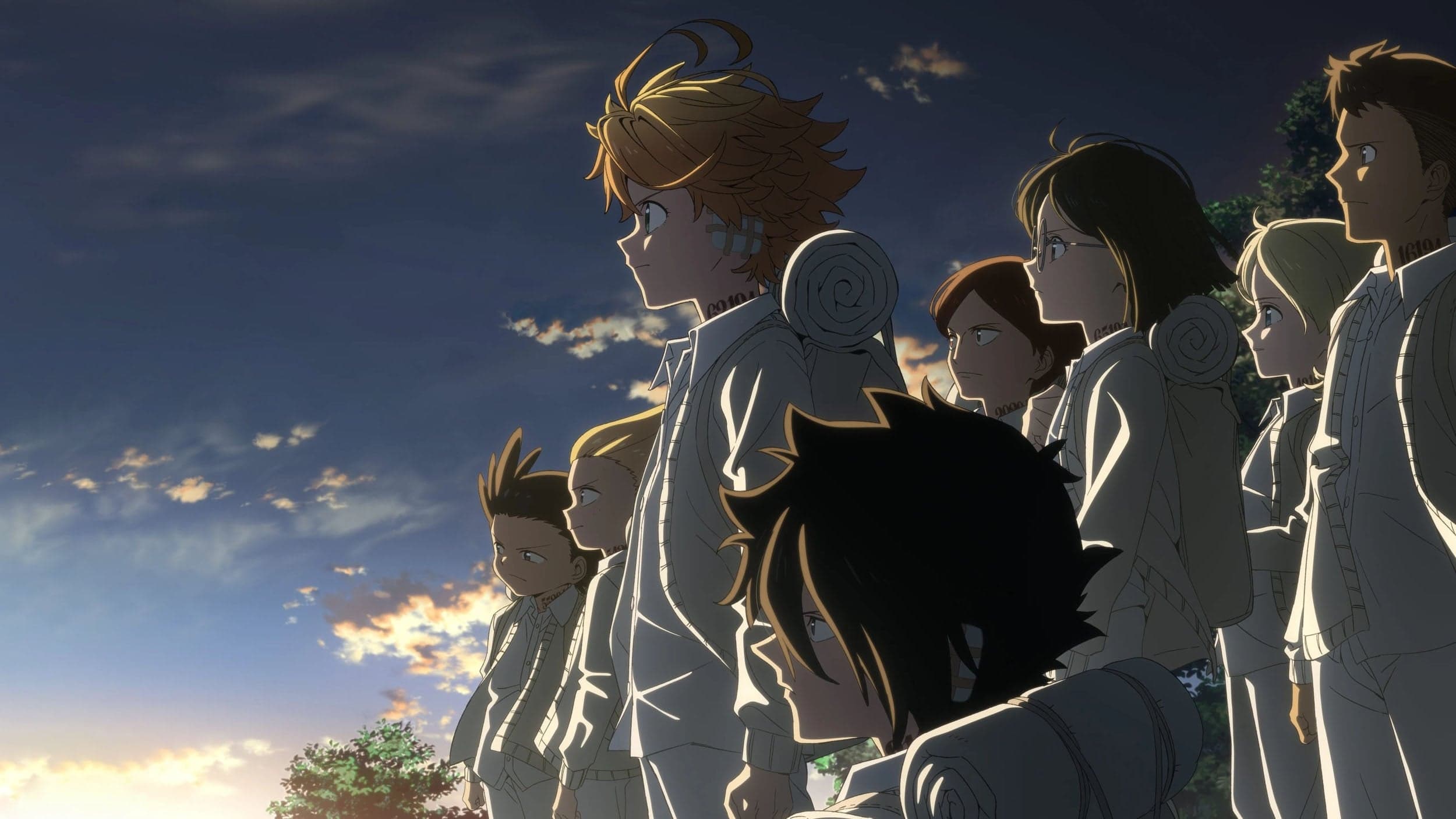 The Promised Neverland Vider