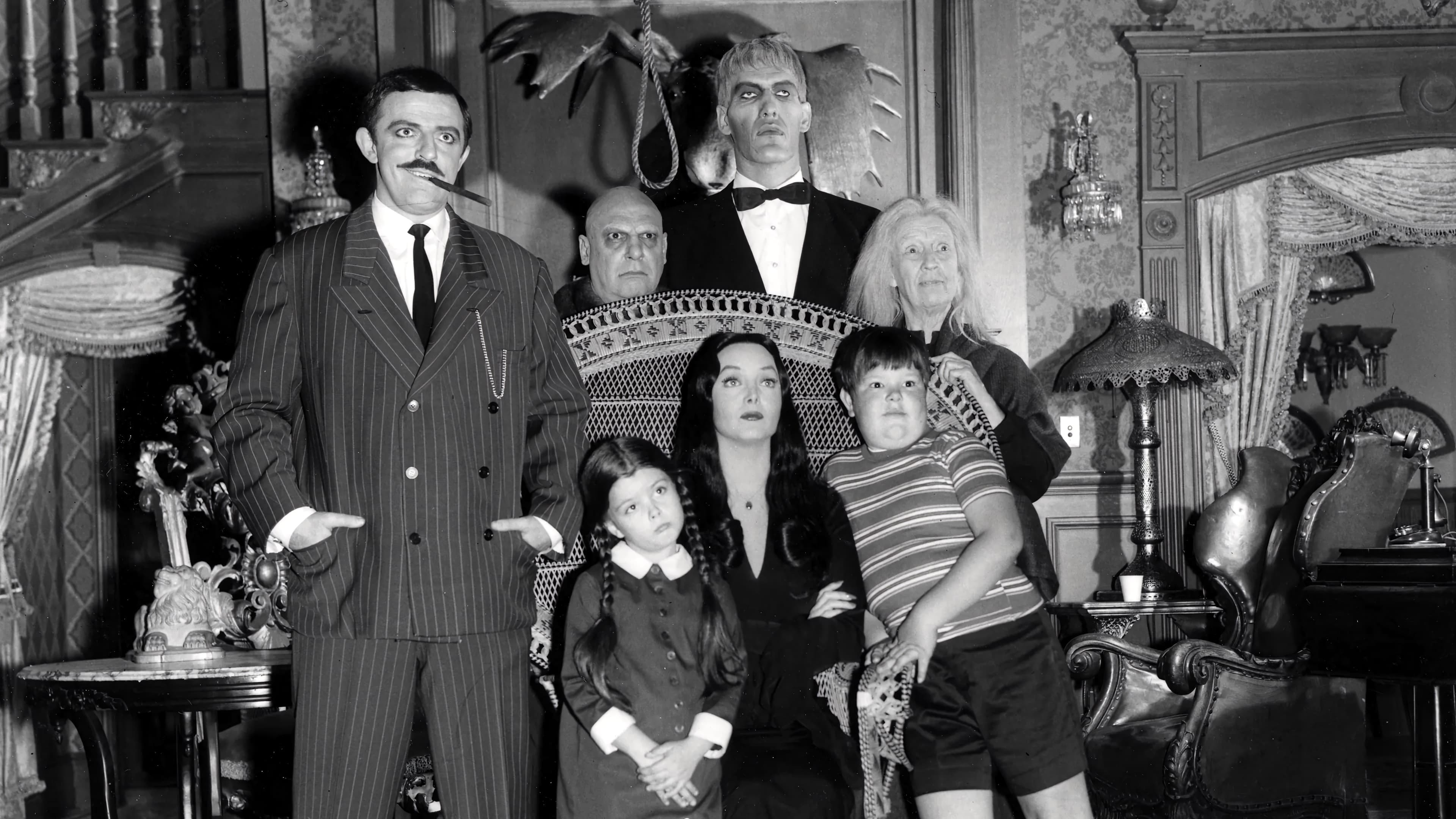 The Addams Family Vider