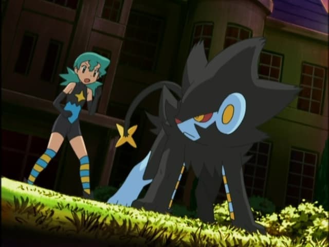 Luxray widzi wszystko