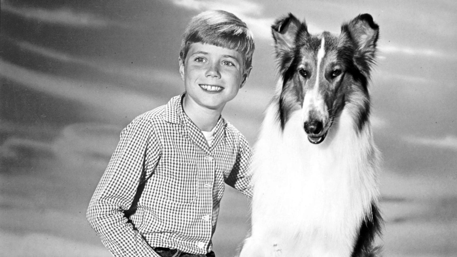 Lassie Vider