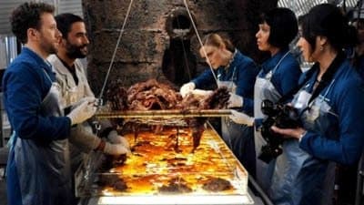 Komornik w septycznym zbiorniku