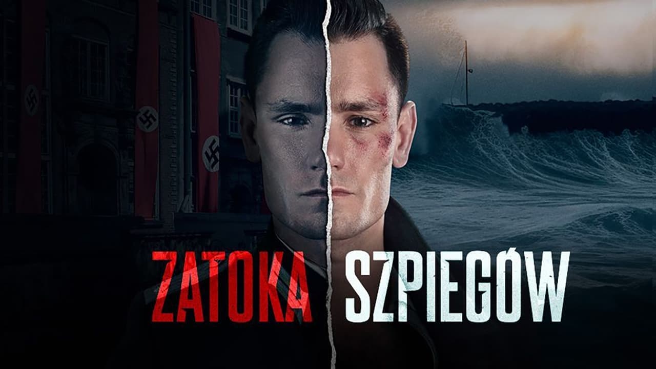 Zatoka szpiegów Vider