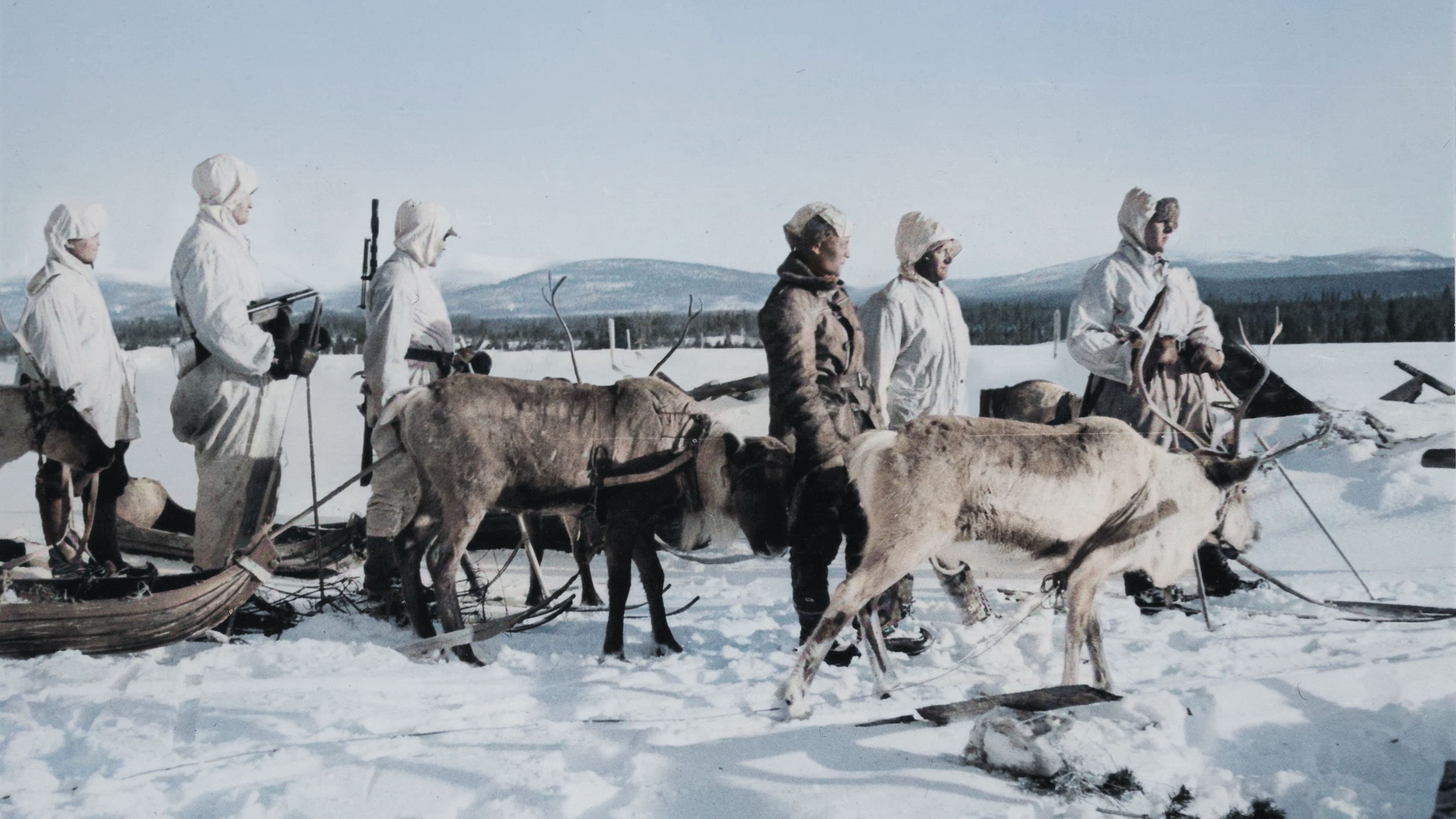 Vaietut arktiset sodat Vider