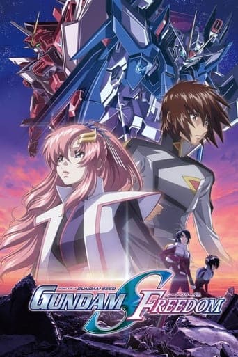 Mobile Suit Gundam SEED FREEDOM Vider