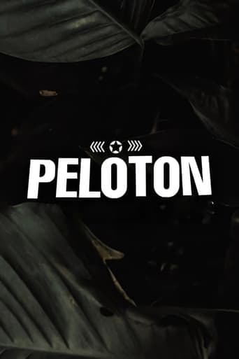 Pelotón Vider