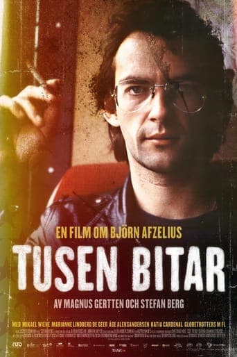 Tusen bitar Vider