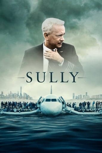 Sully Vider