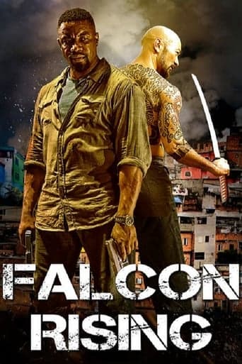 Falcon Rising Vider