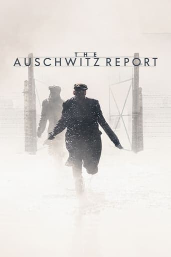 Raport z Auschwitz Vider