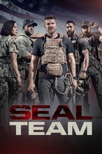 SEAL Team Vider