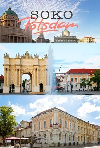 SOKO Potsdam Vider