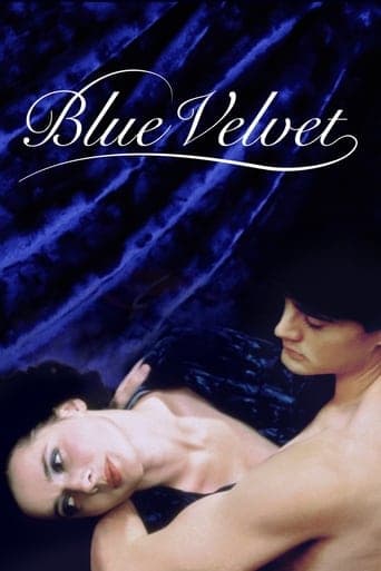 Blue Velvet Vider